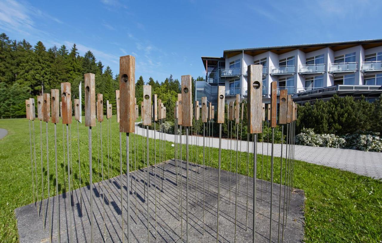Green Night Hotel Falkenstein (Vogtland) Exterior foto
