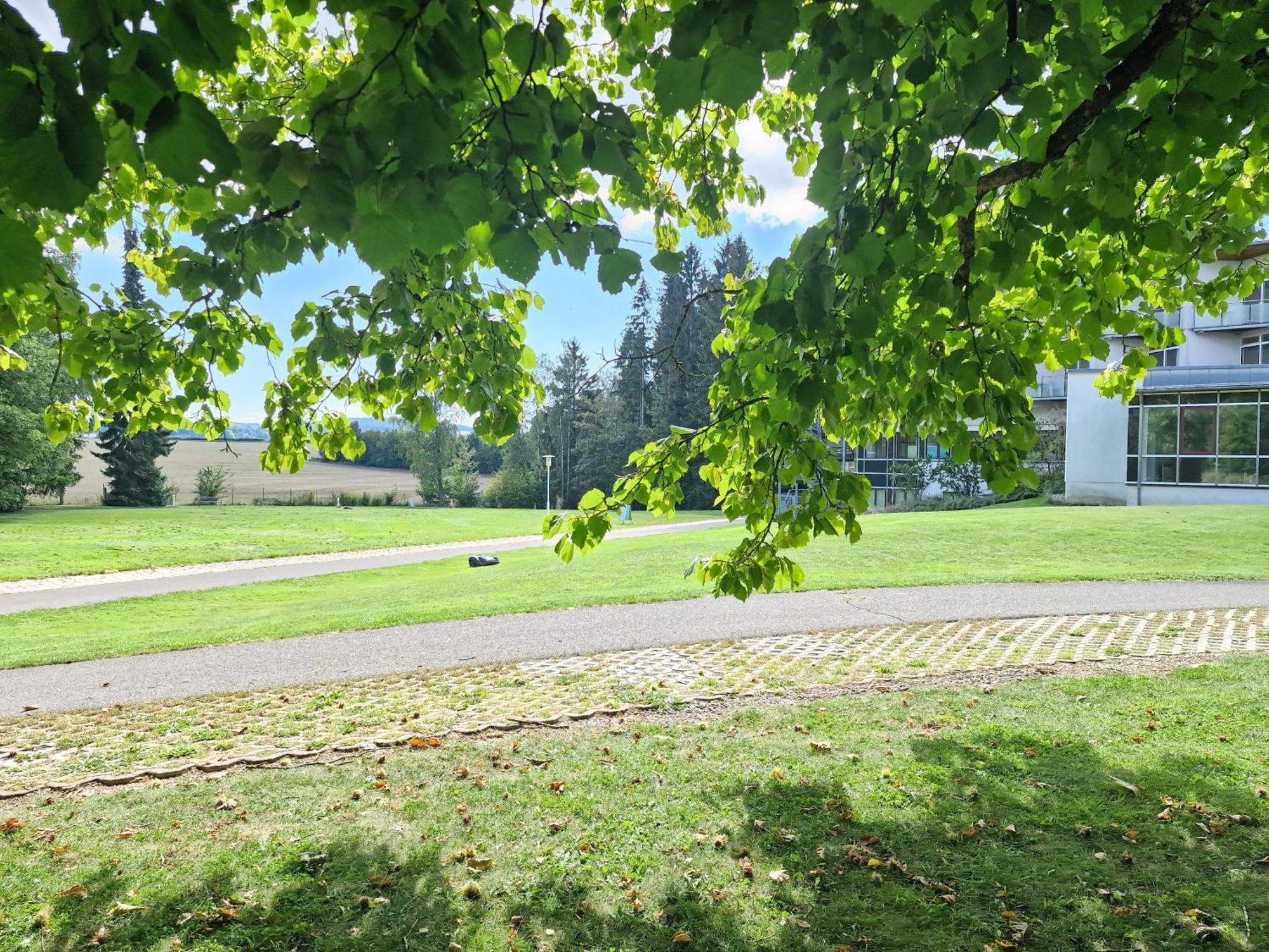 Green Night Hotel Falkenstein (Vogtland) Exterior foto